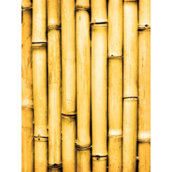 Bamboo Bamboo Original Image KG101-01 Type II