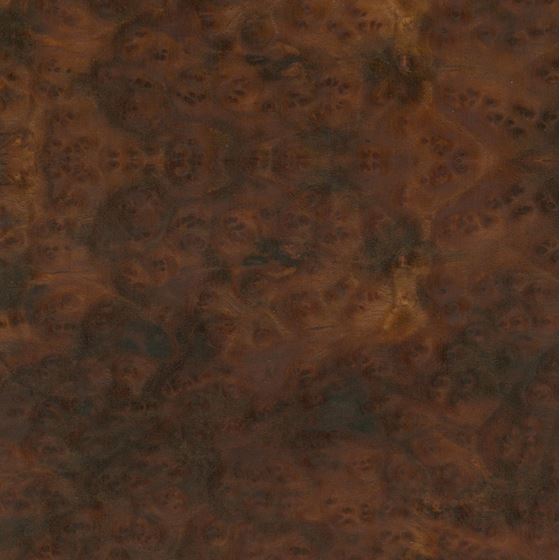 Arbor Wood Wallcoverings Camphorwood Burl Arbor Wood 