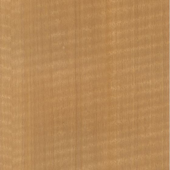 Anigre Quarter Cut Figured Arbor Woodâ„¢ Wallcoverings 